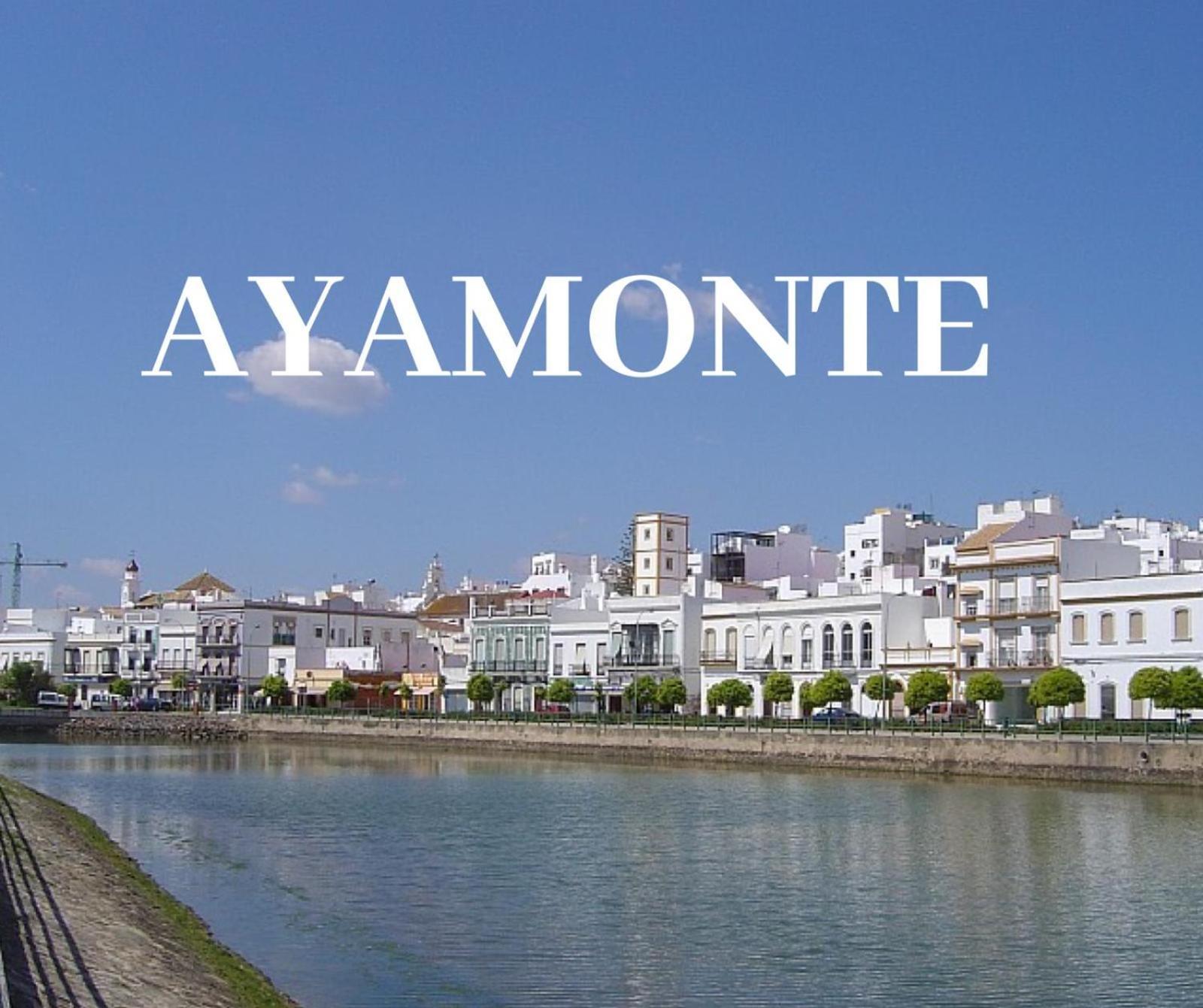 Paqo Guadiana Apartment *
